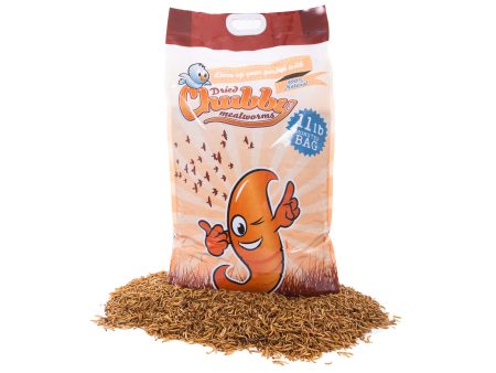 11Lbs Chubby Dried Mealworms Discount