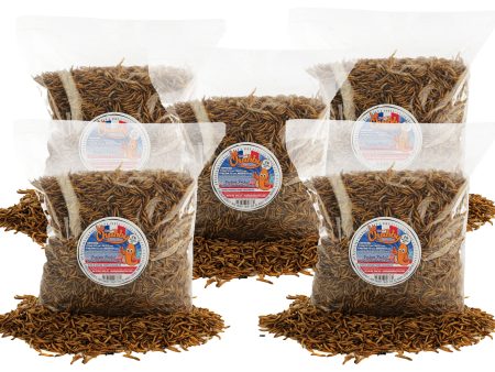 10lb French Grown Chubby Dried Mealworms (Non-GMO) on Sale