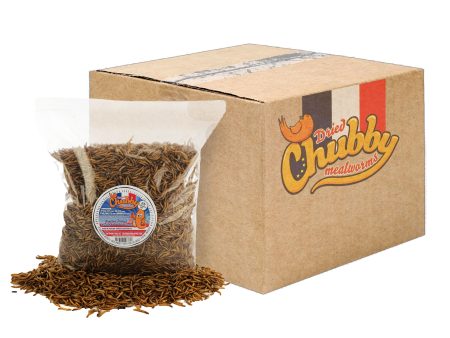 24lb French Grown Chubby Dried Mealworms (Non-GMO) Online now