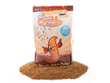 15Lbs Chubby Dried Mealworms on Sale