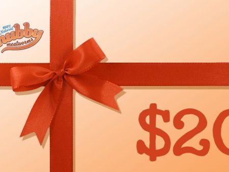 $20 Chubby Gift Card For Cheap