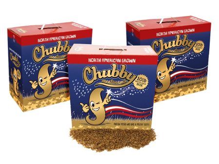 30Lbs Chubby North American Dried Mealworms (Montreal Grown) Recyclable Boxes Non-GMO Sale