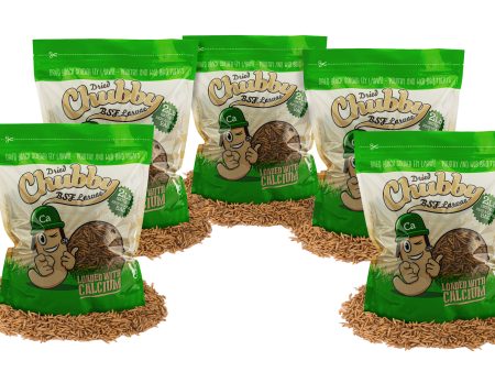 10LB Chubby Dried Black Soldier Fly Larvae Discount