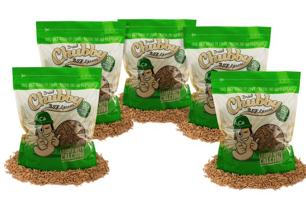 10LB Chubby Dried Black Soldier Fly Larvae Discount