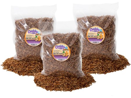 6lb Chubby Mix (Mealworm & Black Soldier Fly Larvae Combo) For Cheap