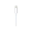 Apple Lightning to 3.5 mm Audio Cable (1.2m) For Discount