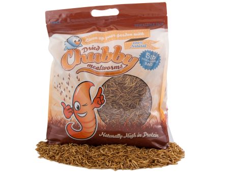 5Lbs Chubby Dried Mealworms Discount