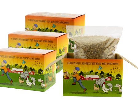 4x 3Lb (12lbs) Chubby Dried Mealworms - Coop Dreams Limited Edition Boxes Online