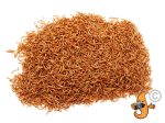 7Lbs Chubby Dried Mealworms on Sale