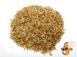 10lb Chubby Mix (Mealworm & Black Soldier Fly Larvae) Online Hot Sale