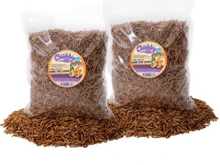 4lb Chubby Mix (Mealworm & Black Soldier Fly Larvae Combo) For Discount