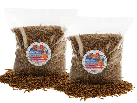 4lb French Grown Chubby Dried Mealworms (Non-GMO) Fashion