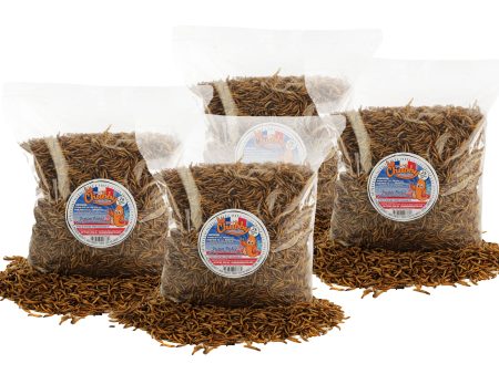 8lb French Grown Chubby Dried Mealworms (Non-GMO) Online Hot Sale