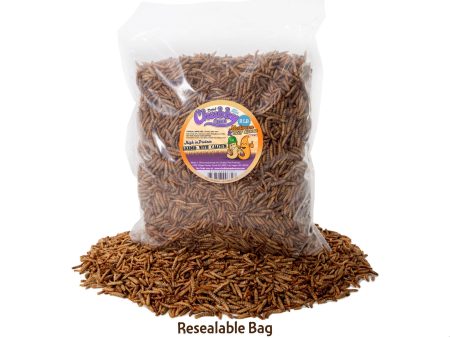 2lb Chubby Mix (Mealworm & Black Soldier Fly Larvae Combo) on Sale