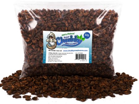 2Lbs Chubby Dried Silkworm Pupae Sale