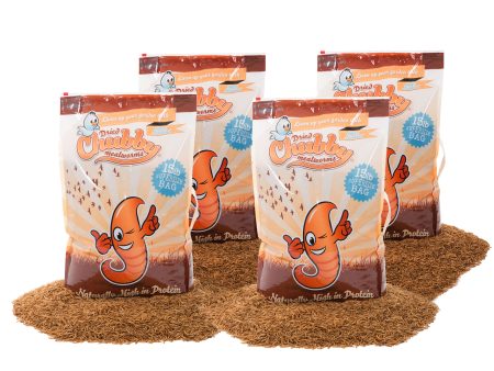 60Lbs Chubby Dried Mealworms Discount