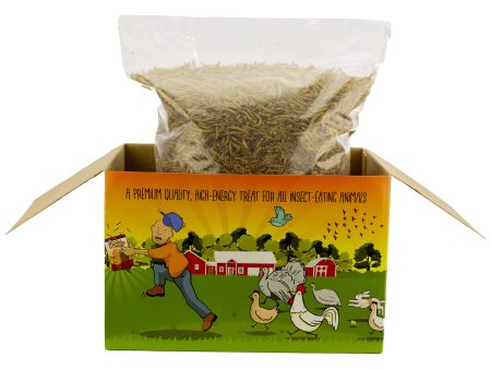 3Lb Chubby Dried Mealworms - Coop Dreams Limited Edition Box Discount