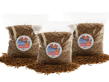 6lb French Grown Chubby Dried Mealworms (Non-GMO) Fashion