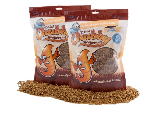 4Lbs Chubby Dried Mealworms Hot on Sale