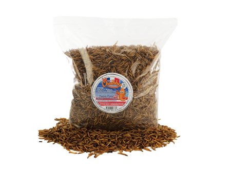 2lb French Grown Chubby Dried Mealworms (Non-GMO) Supply