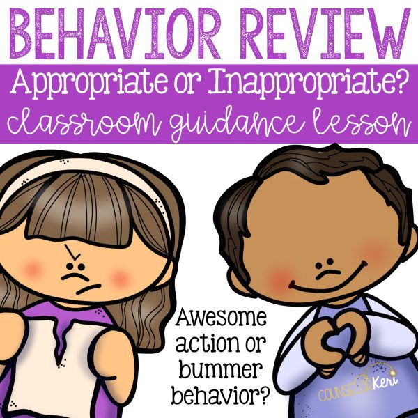 Appropriate Behavior: Making Good Choices Classroom Guidance Lesson Supply